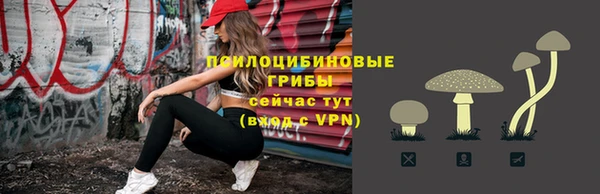 соль курить ск Арсеньев